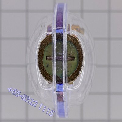 S/n:37 PaYa Kai, Wealthy King Rooster, KruBa KamPeng 2559 Silver Plated Takrut