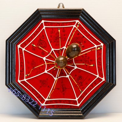 LP SuPha 2555 Wealth Spider & PraYant 22cm