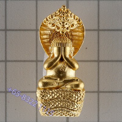 龙莆堪布最后一批,佛历2556,避達,ChoopThong,达固