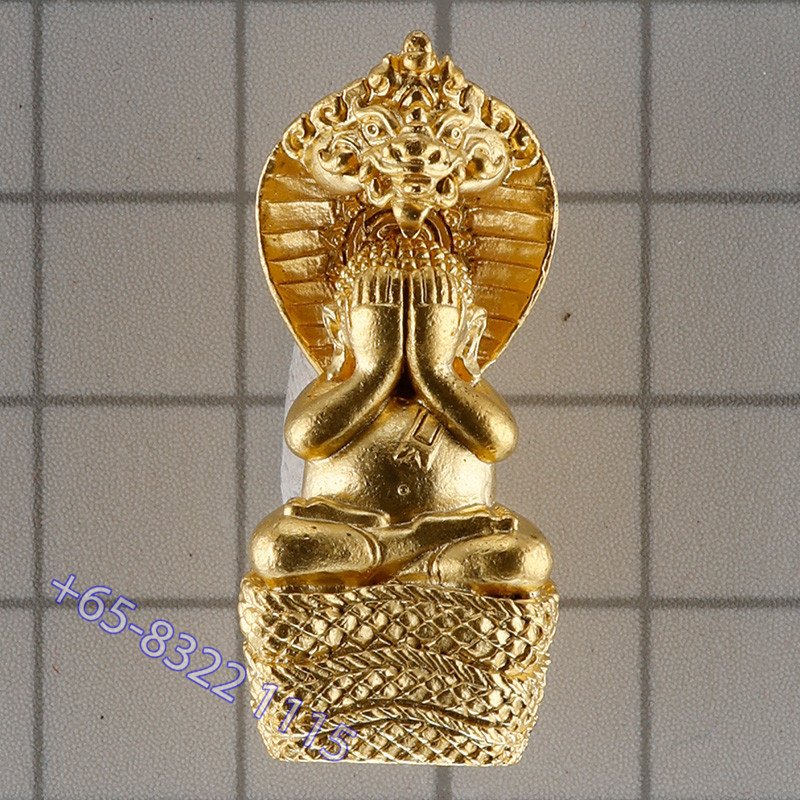 龙莆堪布最后一批,佛历2556,避達,ChoopThong,达固