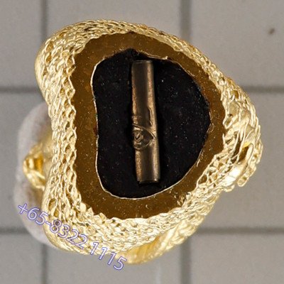 龙莆堪布最后一批,佛历2556,避達,ChoopThong,达固