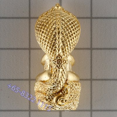 龙莆堪布最后一批,佛历2556,避達,ChoopThong,达固