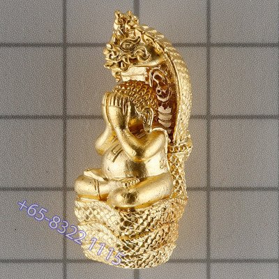 龙莆堪布最后一批,佛历2556,避達,ChoopThong,达固