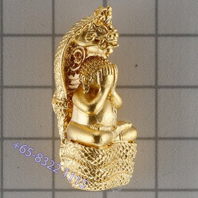 龙莆堪布最后一批,佛历2556,避達,ChoopThong,达固