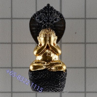 龙莆堪布最后一批,佛历2556,避達,PiThong,达固