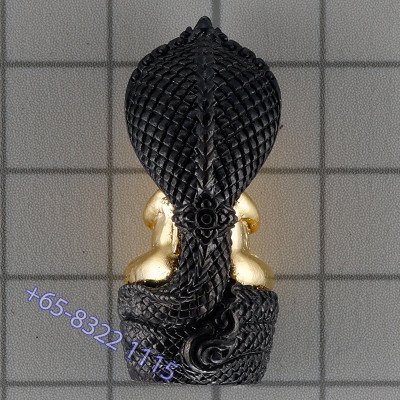 龙莆堪布最后一批,佛历2556,避達,PiThong,达固