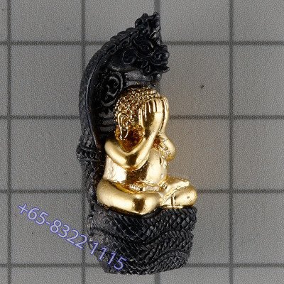 龙莆堪布最后一批,佛历2556,避達,PiThong,达固