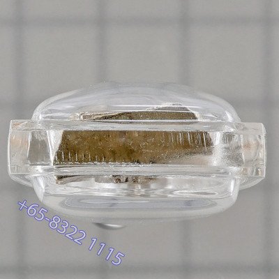 21位名僧侣加持，泰国公主版，药师佛Tha KraDan银质3cm