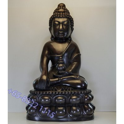 佛历2566大法会，Wat Suthat 药师佛9寸腿金身51cm