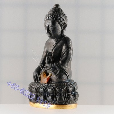 做29尊，金底编号：13  药师佛，龙婆宏100天纪念日，佛历2557大法会