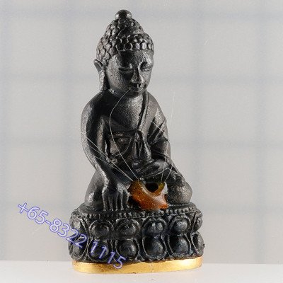 做29尊，金底编号：13  药师佛，龙婆宏100天纪念日，佛历2557大法会