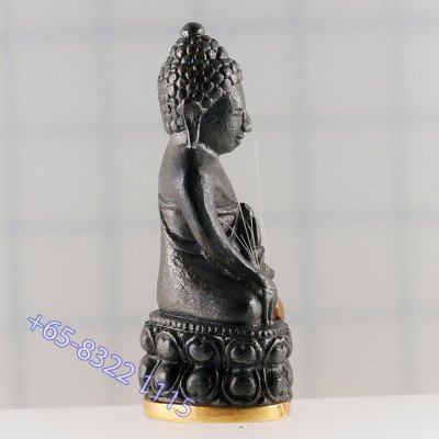 做29尊，金底编号：13  药师佛，龙婆宏100天纪念日，佛历2557大法会