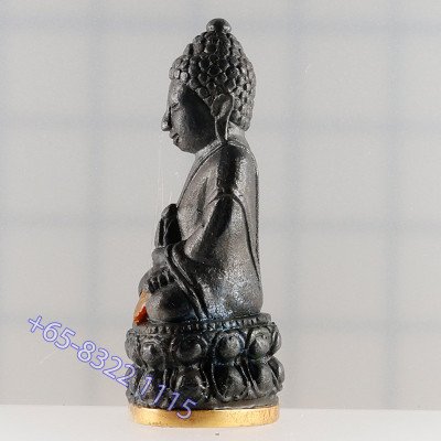 做29尊，金底编号：13  药师佛，龙婆宏100天纪念日，佛历2557大法会