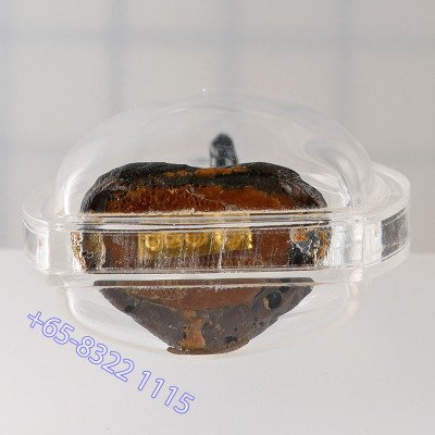 Gold Code S/n:151 Ajahn KhunPan 2546 Phra Pidta LekNamPee 2.8cm