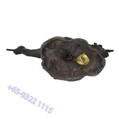 LP Phian Wat Kroen Kathin B.E.2559 Hanuman Statue Height 23cm