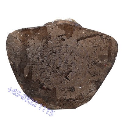 龙莆炎 Wat Sam Ngam 佛历2557 古曼童 金身 17cm